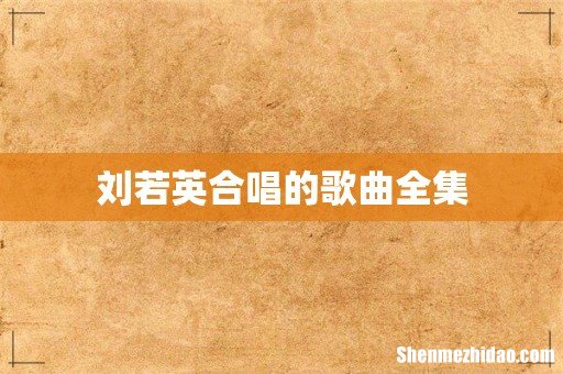 刘若英合唱的歌曲全集