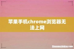苹果手机chrome浏览器无法上网