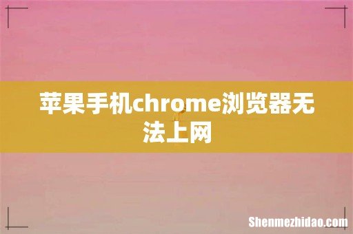 苹果手机chrome浏览器无法上网