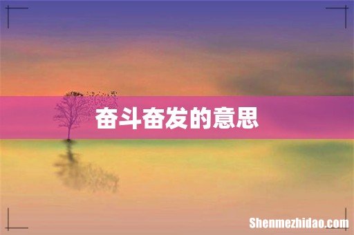 奋斗奋发的意思