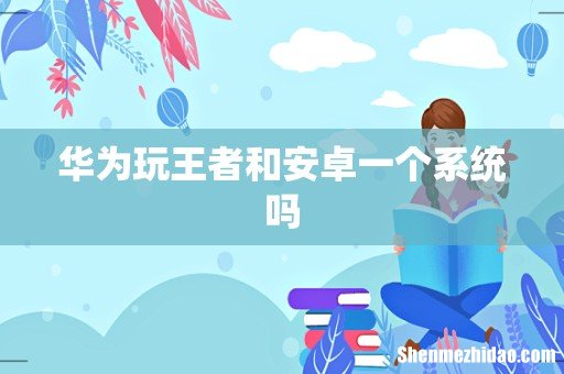 华为玩王者和安卓一个系统吗