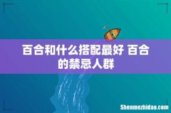 百合和什么搭配最好 百合的禁忌人群