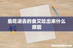 鱼吃进去的食又吐出来什么原因