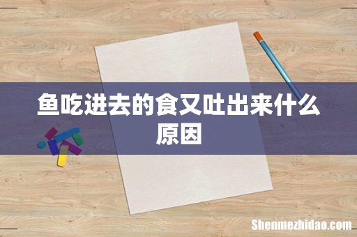 鱼吃进去的食又吐出来什么原因