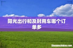 阳光出行和及时用车哪个订单多