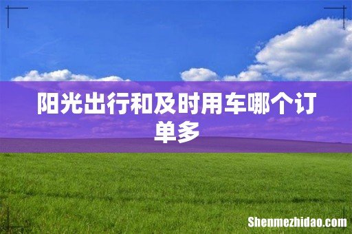 阳光出行和及时用车哪个订单多