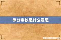 争分夺秒是什么意思