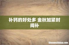 补钙的好处多 金秋加紧时间补