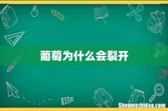 葡萄为什么会裂开