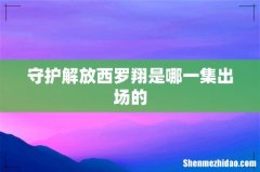 守护解放西罗翔是哪一集出场的