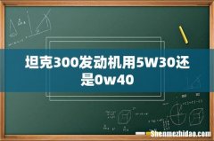 坦克300发动机用5W30还是0w40