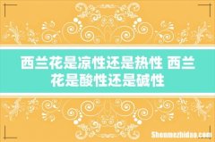 西兰花是凉性还是热性 西兰花是酸性还是碱性