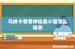 马纳卡普鲁神仙鱼小苗怎么喂养