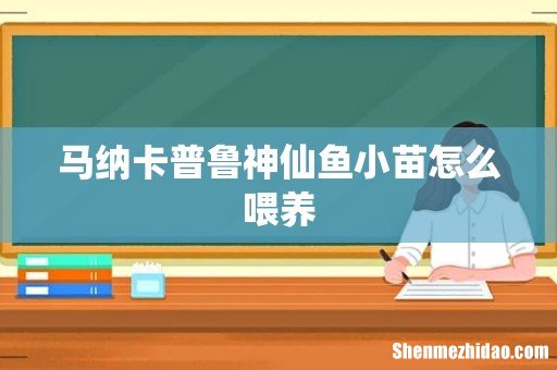 马纳卡普鲁神仙鱼小苗怎么喂养
