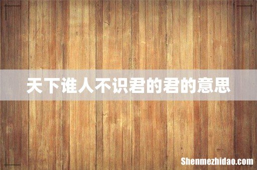 天下谁人不识君的君的意思