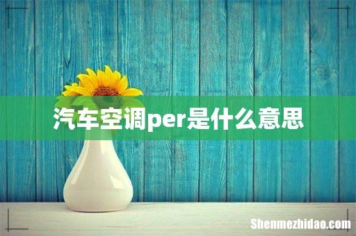 汽车空调per是什么意思