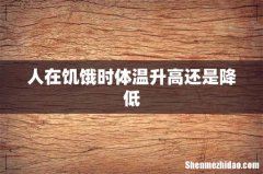 人在饥饿时体温升高还是降低