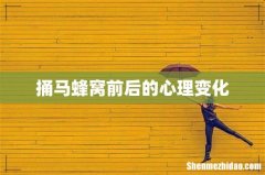 捅马蜂窝前后的心理变化