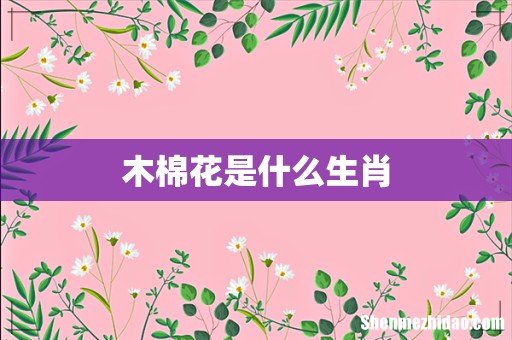 木棉花是什么生肖