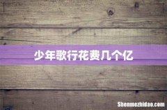 少年歌行花费几个亿