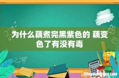 为什么藕煮完黑紫色的 藕变色了有没有毒