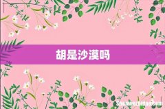 胡是沙漠吗