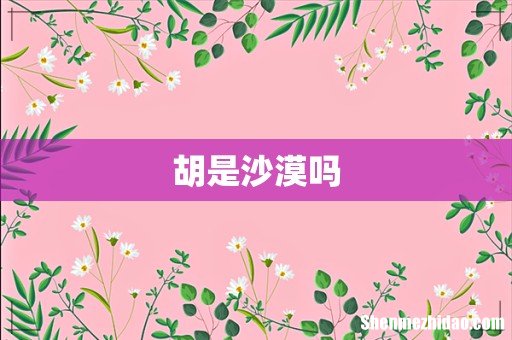 胡是沙漠吗