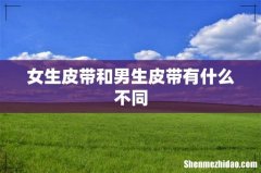 女生皮带和男生皮带有什么不同