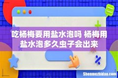 吃杨梅要用盐水泡吗 杨梅用盐水泡多久虫子会出来