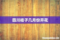 四川桔子几月份开花