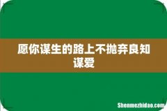 愿你谋生的路上不抛弃良知谋爱