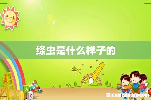 绦虫是什么样子的