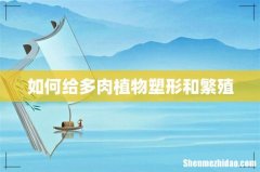 如何给多肉植物塑形和繁殖