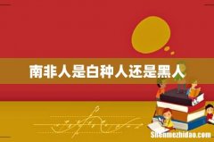 南非人是白种人还是黑人