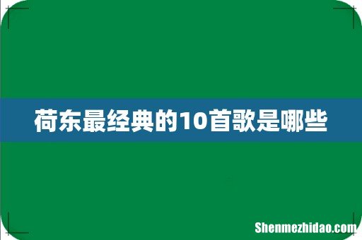 荷东最经典的10首歌是哪些