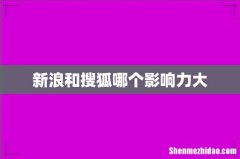 新浪和搜狐哪个影响力大