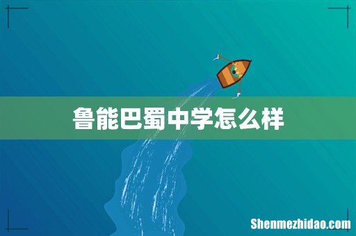 鲁能巴蜀中学怎么样