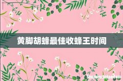 黄脚胡蜂最佳收蜂王时间