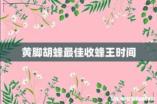 黄脚胡蜂最佳收蜂王时间