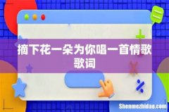 摘下花一朵为你唱一首情歌歌词