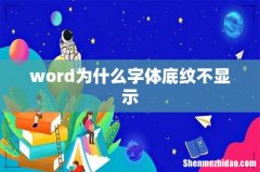 word为什么字体底纹不显示