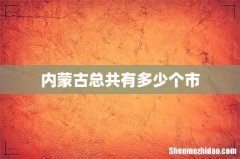 内蒙古总共有多少个市