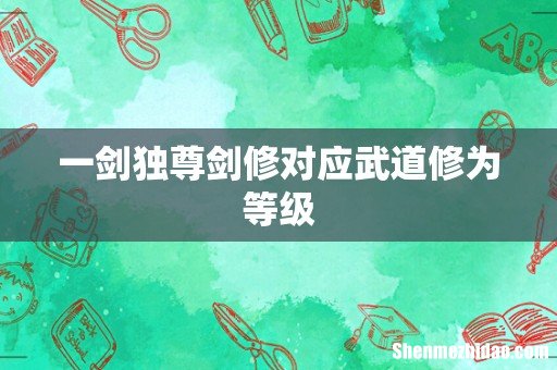 一剑独尊剑修对应武道修为等级