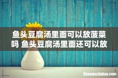 鱼头豆腐汤里面可以放菠菜吗 鱼头豆腐汤里面还可以放什么