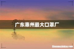 广东惠州最大口罩厂