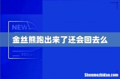 金丝熊跑出来了还会回去么