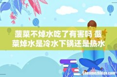 菠菜不焯水吃了有害吗 菠菜焯水是冷水下锅还是热水下锅
