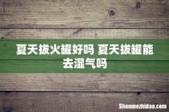 夏天拔火罐好吗 夏天拔罐能去湿气吗
