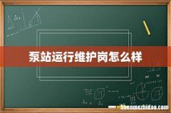 泵站运行维护岗怎么样