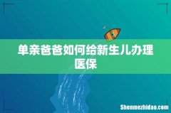 单亲爸爸如何给新生儿办理医保